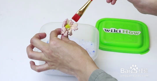 制作干花不变色的方法