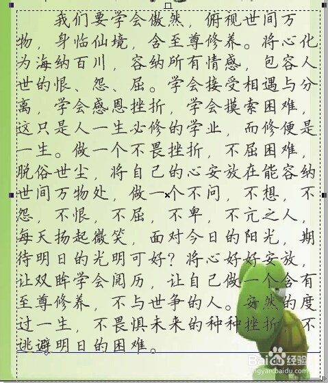 怎样制作特效书刊页面？