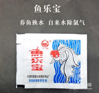 冬天鱼缸换水的正确方法