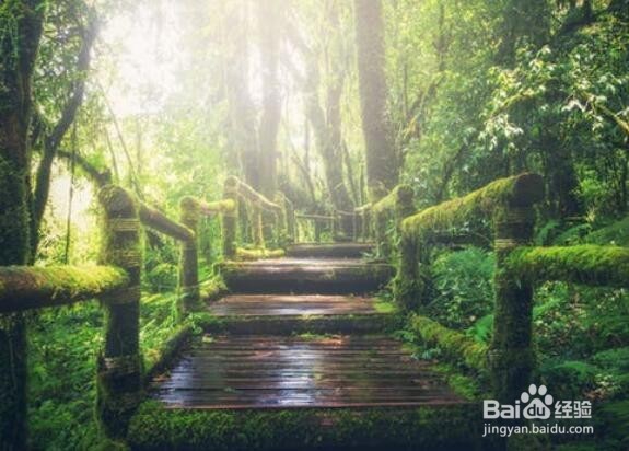 南京英孚青少儿英语:英语中最常用的英文合成词