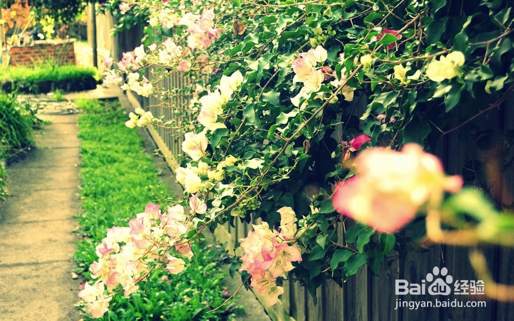 痤疮症状与防治