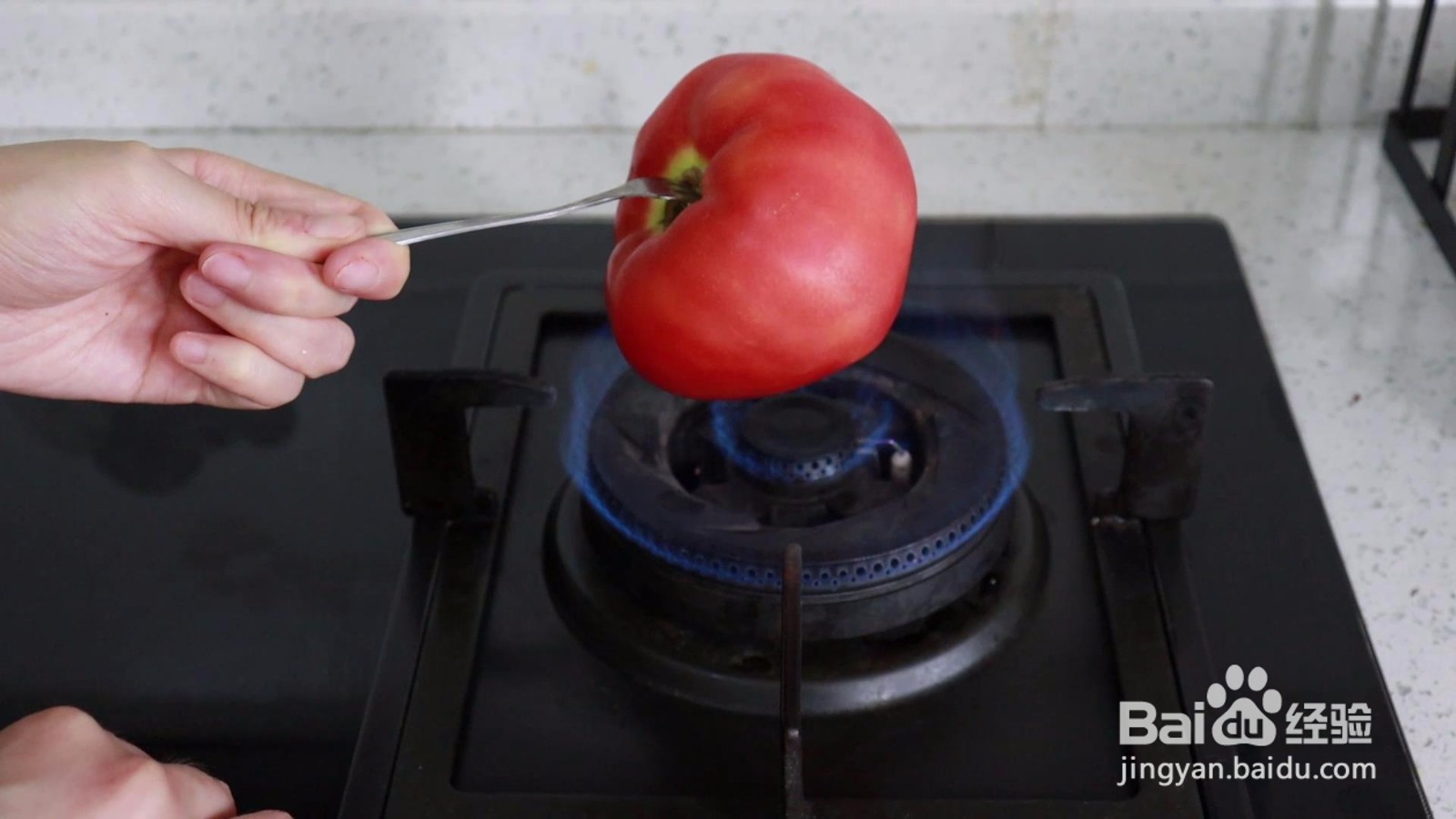 怎么给番茄剥皮？三种方法简单方便#招募令2.0#