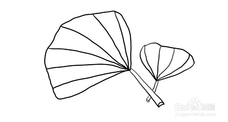 植物简笔画，怎么画银杏叶