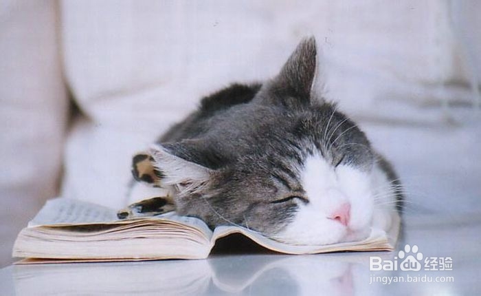 如何提升睡眠质量