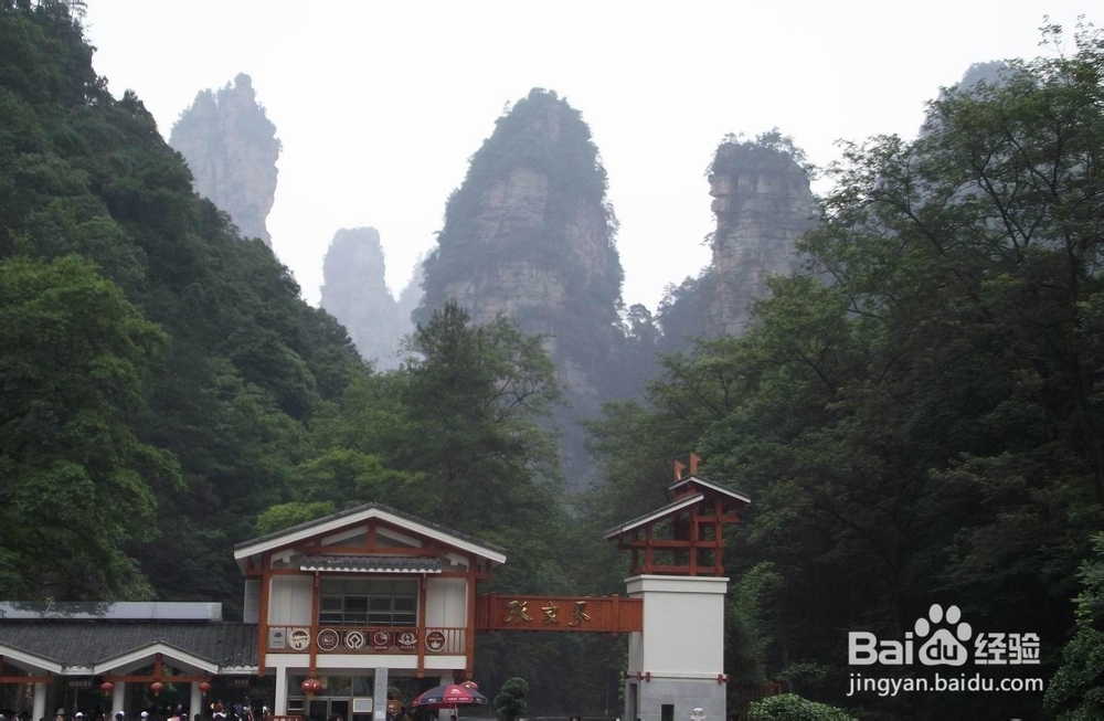 营口到张家界自驾游