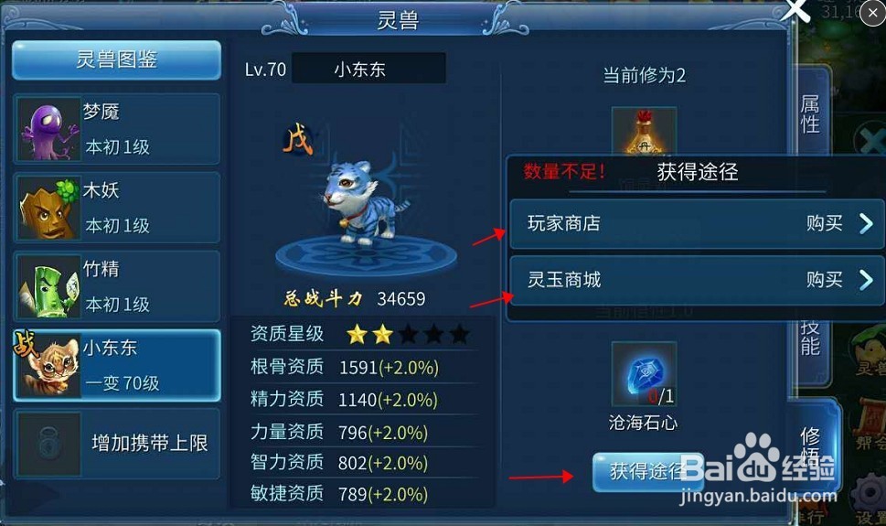 小虎咪怎么加点