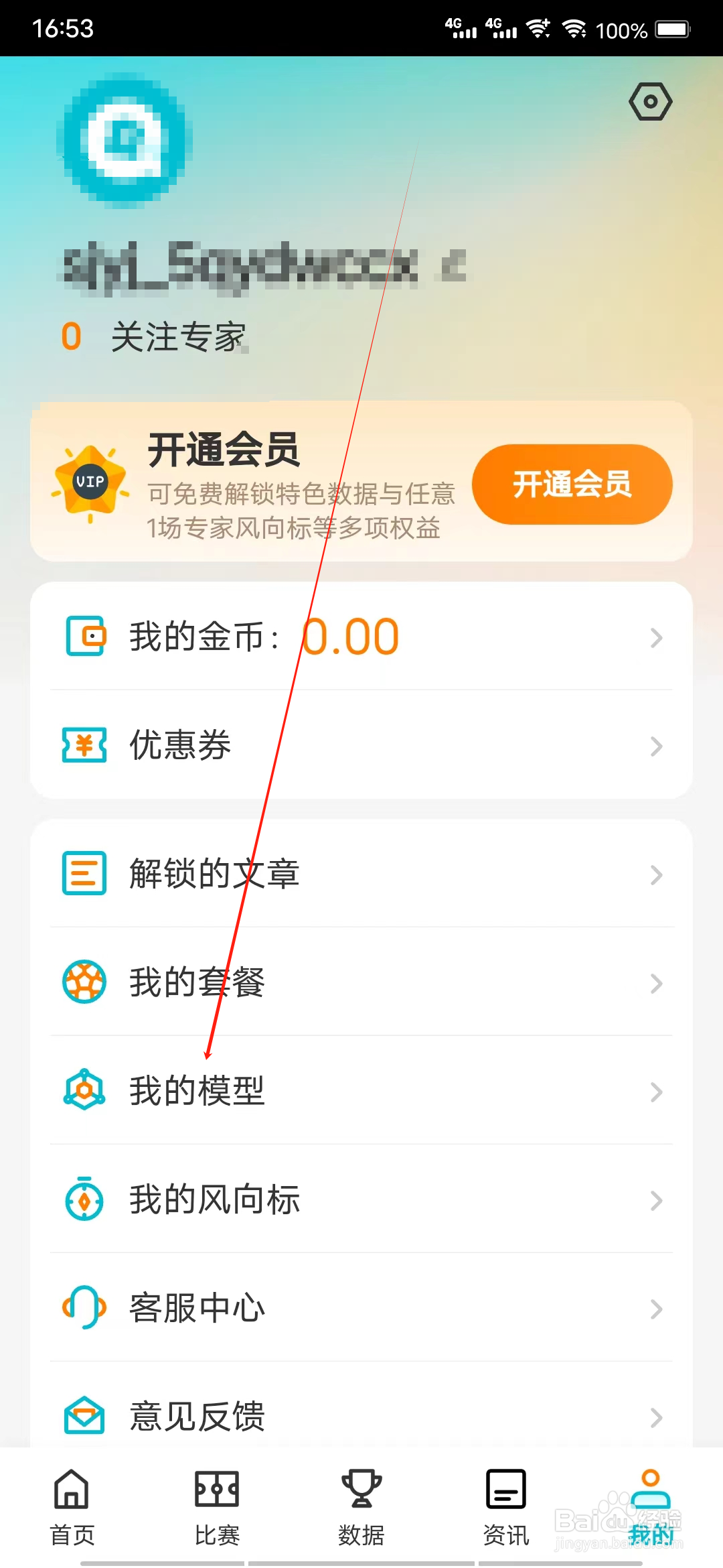 懂球圈如何查看我的模型