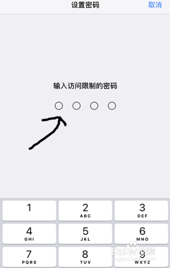 苹果手机怎么设置权限