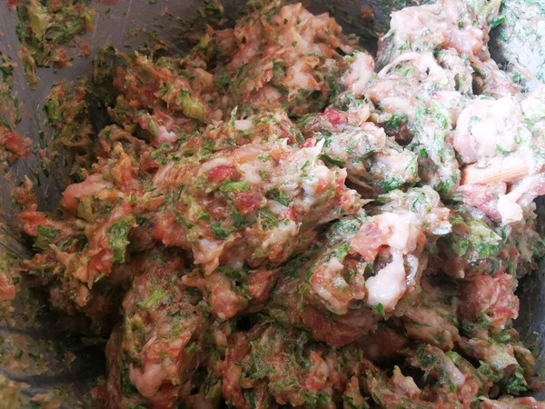 香煎茴香猪肉饺子