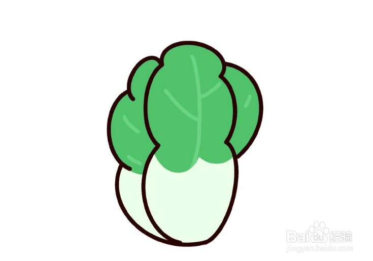 怎么画大白菜呢？