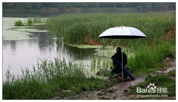 秋天能钓很多鱼的8个技巧，绝对让你满载而归！