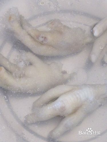 【飞禽走兽】虎皮凤爪