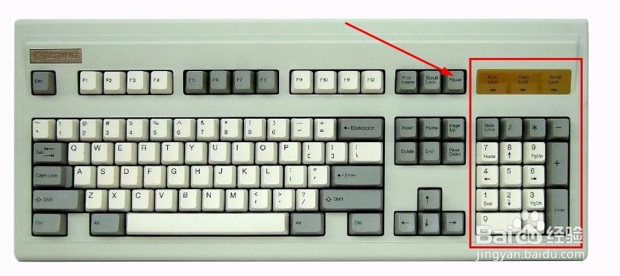 如何调用笔记本电脑的小键盘