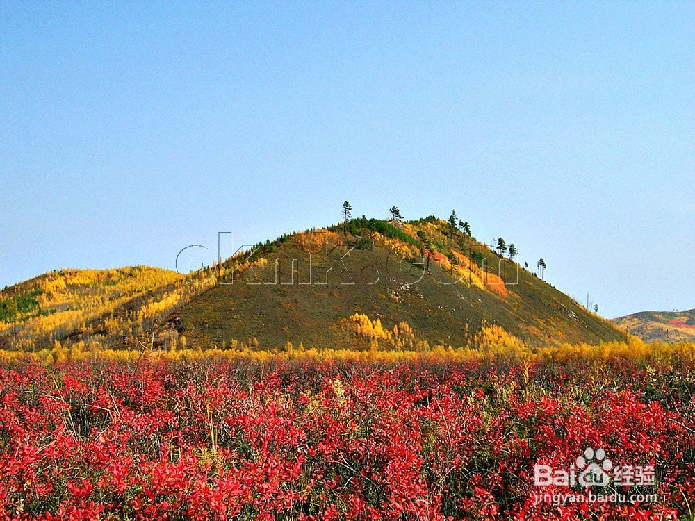 漠河户外原生态三日游景点攻略