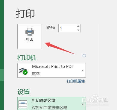 Excel选定区域打印
