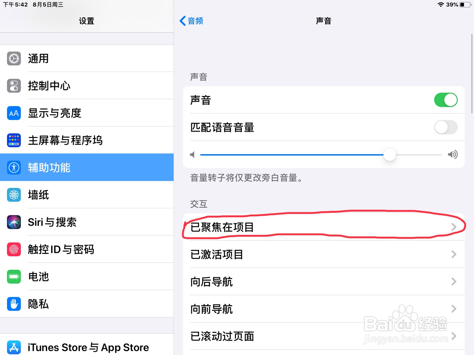 iPad怎么在旁白设置已聚焦在项目的预览