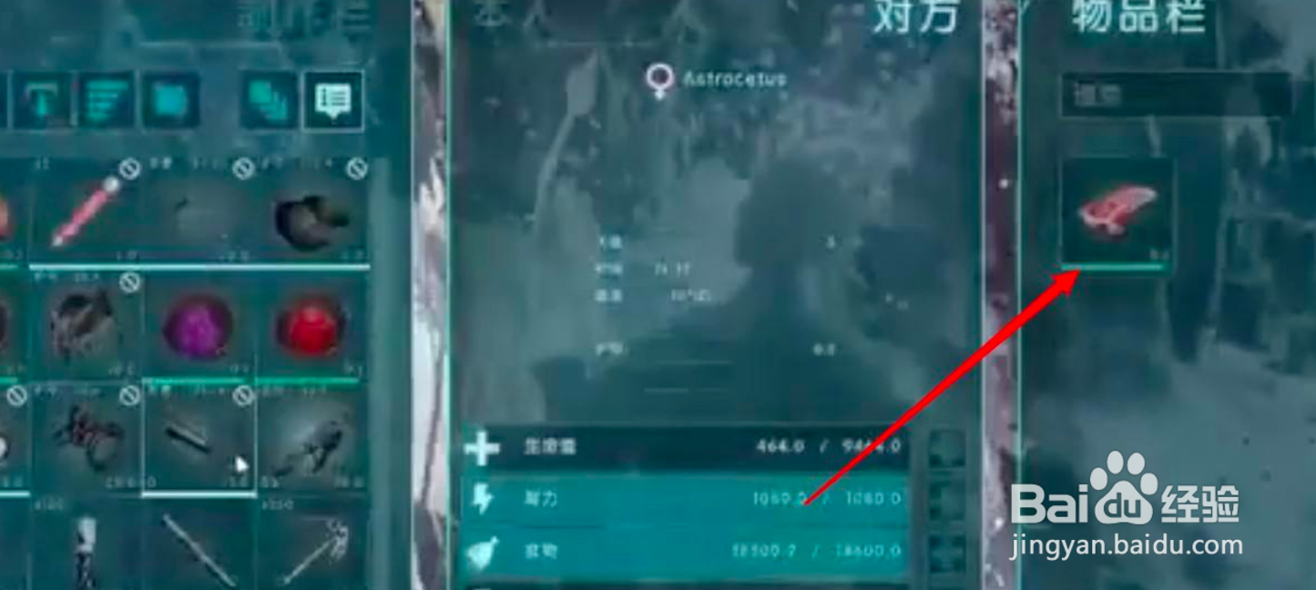 虚空鲸怎么驯服