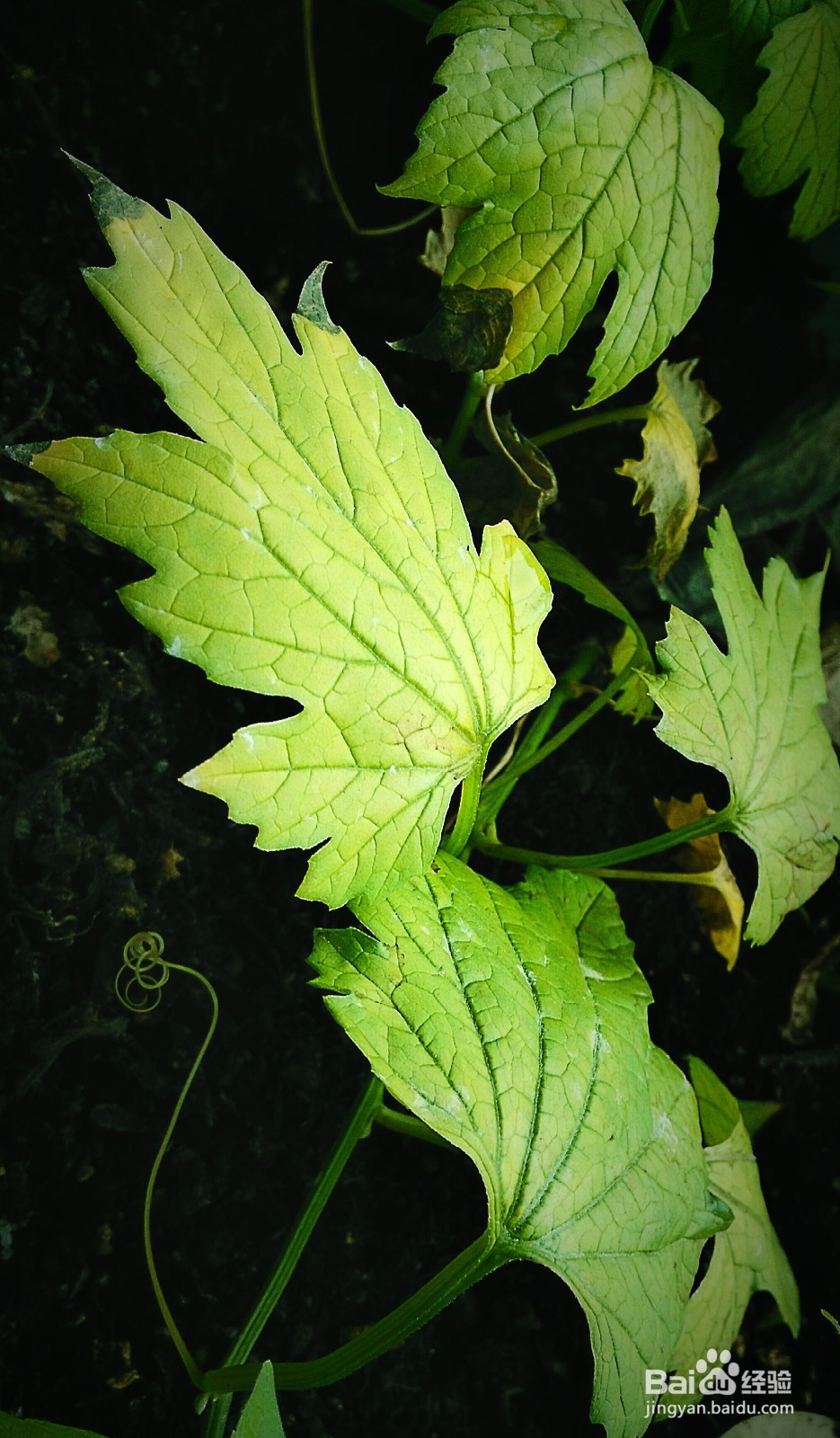 开启新生活之感慨分享