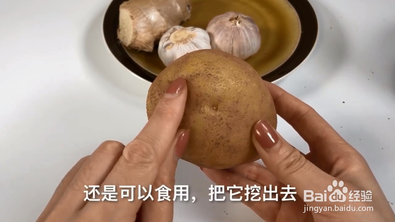 土豆发芽千万别乱吃，快来看看有什么需要注意的