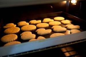 立体小鸭子糖霜饼干