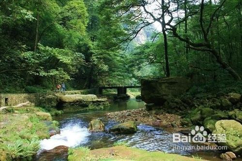 大学生从长沙到张家界3天旅游攻略