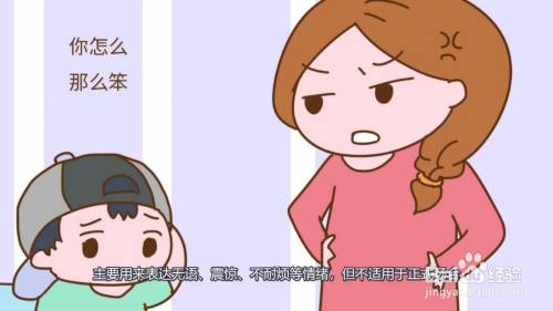 主要用来表达无语,震惊,不耐烦等情绪,但不适用于正式场合.