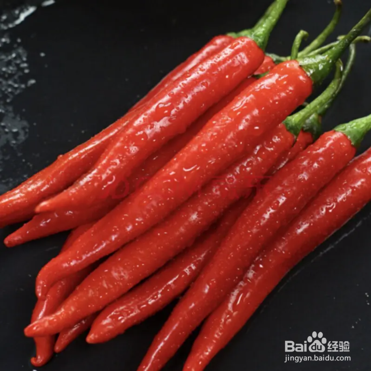 辣椒树叶子卷起来了怎么办