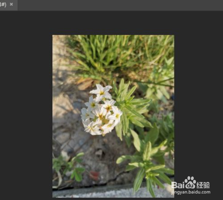 如何将图片的色彩调成春天的暖色