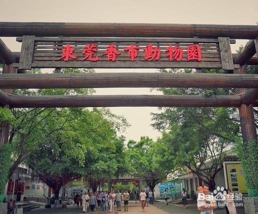 “辣味之乡”东莞有哪些好玩的地方?