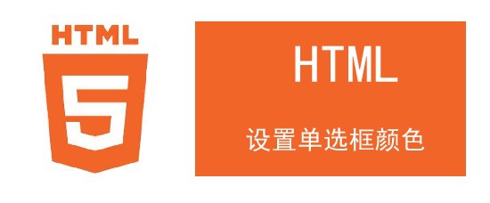 <b>html设置单选框颜色</b>