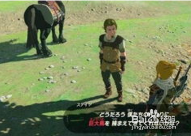 塞尔达怎么抓马