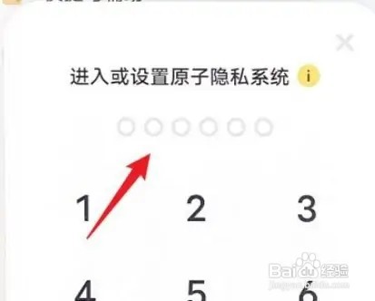 vivos11原子隐私系统在哪里关闭