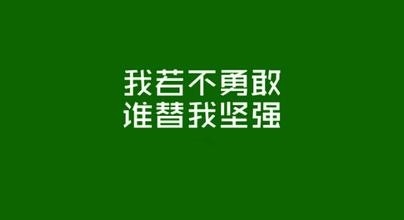 <b>如果你没有学历，那一定要有能力！</b>