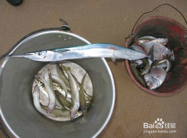 涠洲岛的美食诱惑