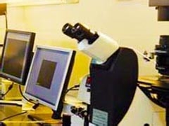 试管婴儿成功经验分享