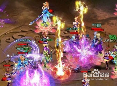 神魔仙界宠物进阶技能深度解析