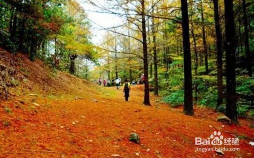 宁波爬山古道攻略 百度经验 宁波爬山古道攻略 百度经验