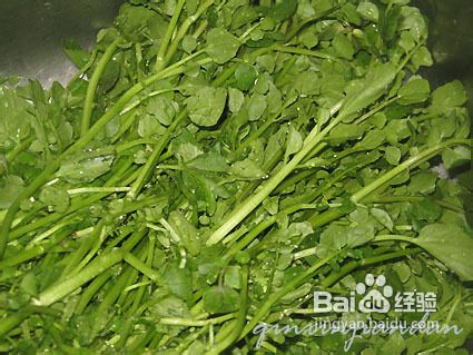 西洋菜猪骨汤