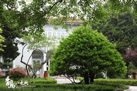 青岛市旅游攻略