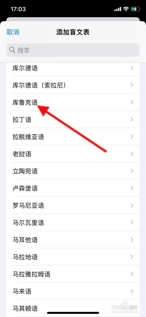 iPhone旁白添加“库鲁克语”盲文表