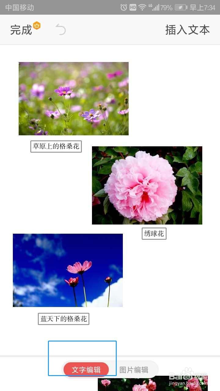 手机WPS PDF中如何更改字号