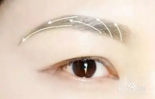 眉型怎么选择