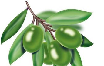 吃橄榄有什么好处