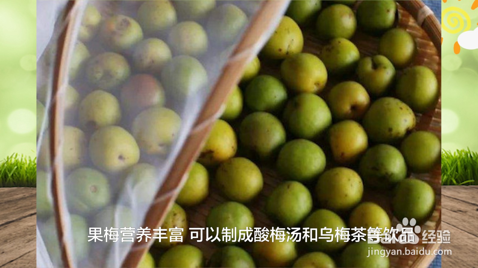 梅子什么季节成熟