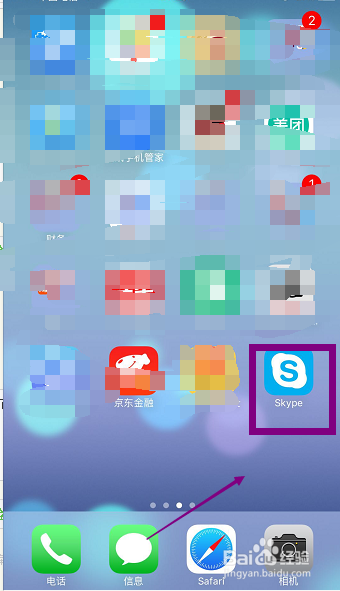 现在苹果怎么安装skype