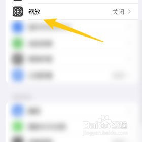 苹果手机如何设置缩放区域