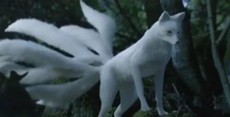 女娲的四大坐骑是什么