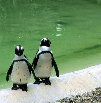 性比价最高的五个约会圣地 有效提升成功几率