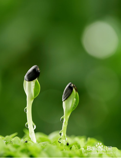 浅谈语文教学目标与方法