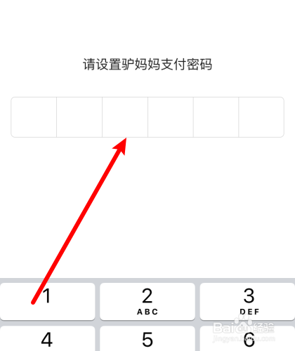 驴妈妈旅游app在哪设置支付密码？
